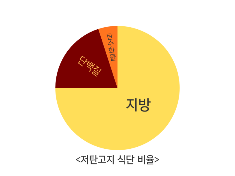 다이어트 기행 (2) - 저탄고지